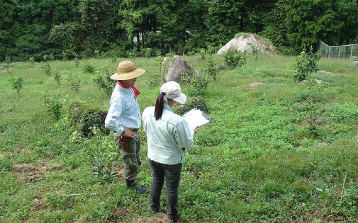 登録認定機関による実地検査